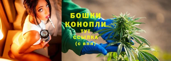 трава Снежинск