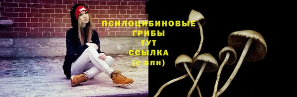 каннабис Слюдянка