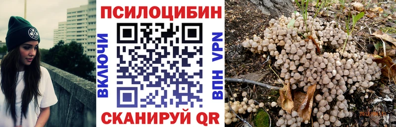Галлюциногенные грибы Cubensis  mega зеркало  Назрань 