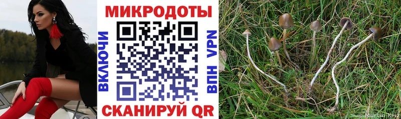 Галлюциногенные грибы Cubensis Назрань
