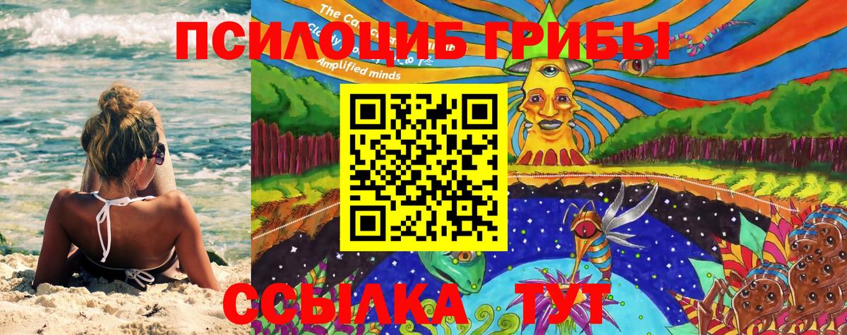 Галлюциногенные грибы мицелий  Назрань 