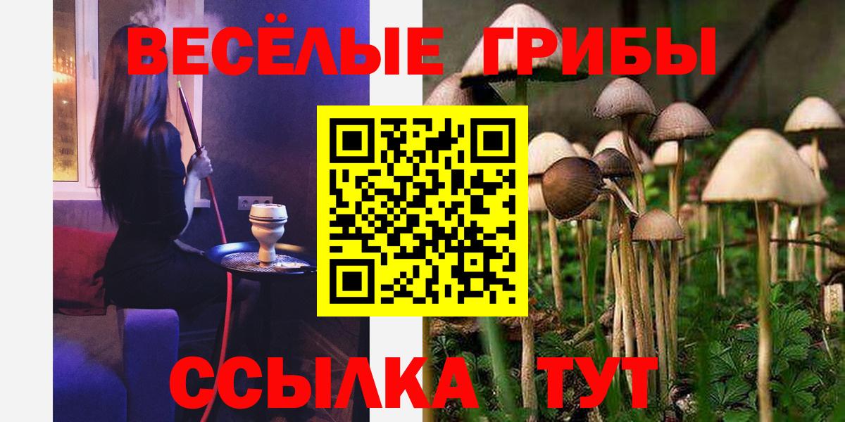 Псилоцибиновые грибы MAGIC MUSHROOMS Назрань