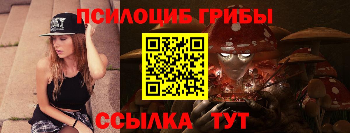 Назрань  Псилоцибиновые грибы Cubensis  Вход с VPN 